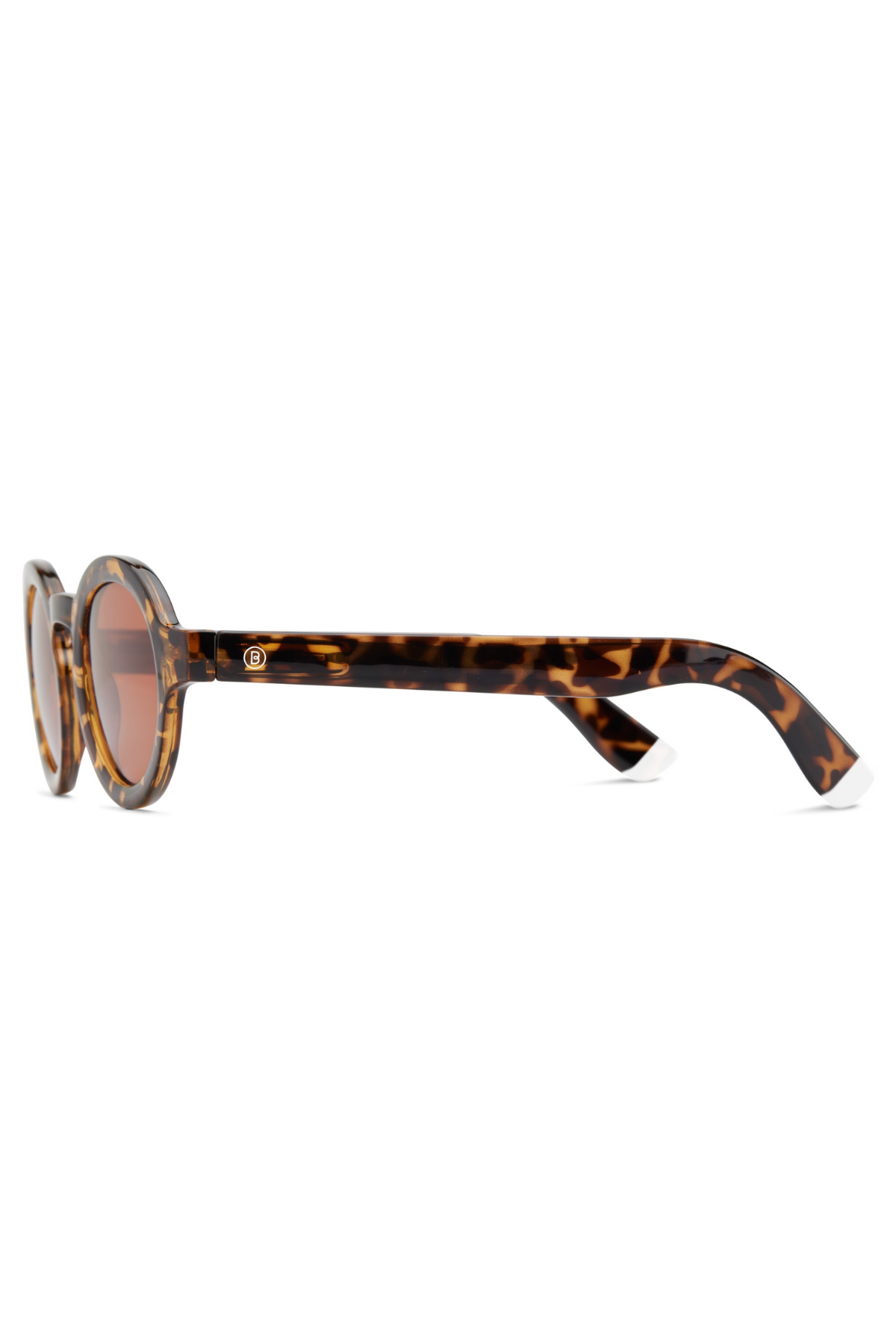 Charles Tortoise Sunglasses