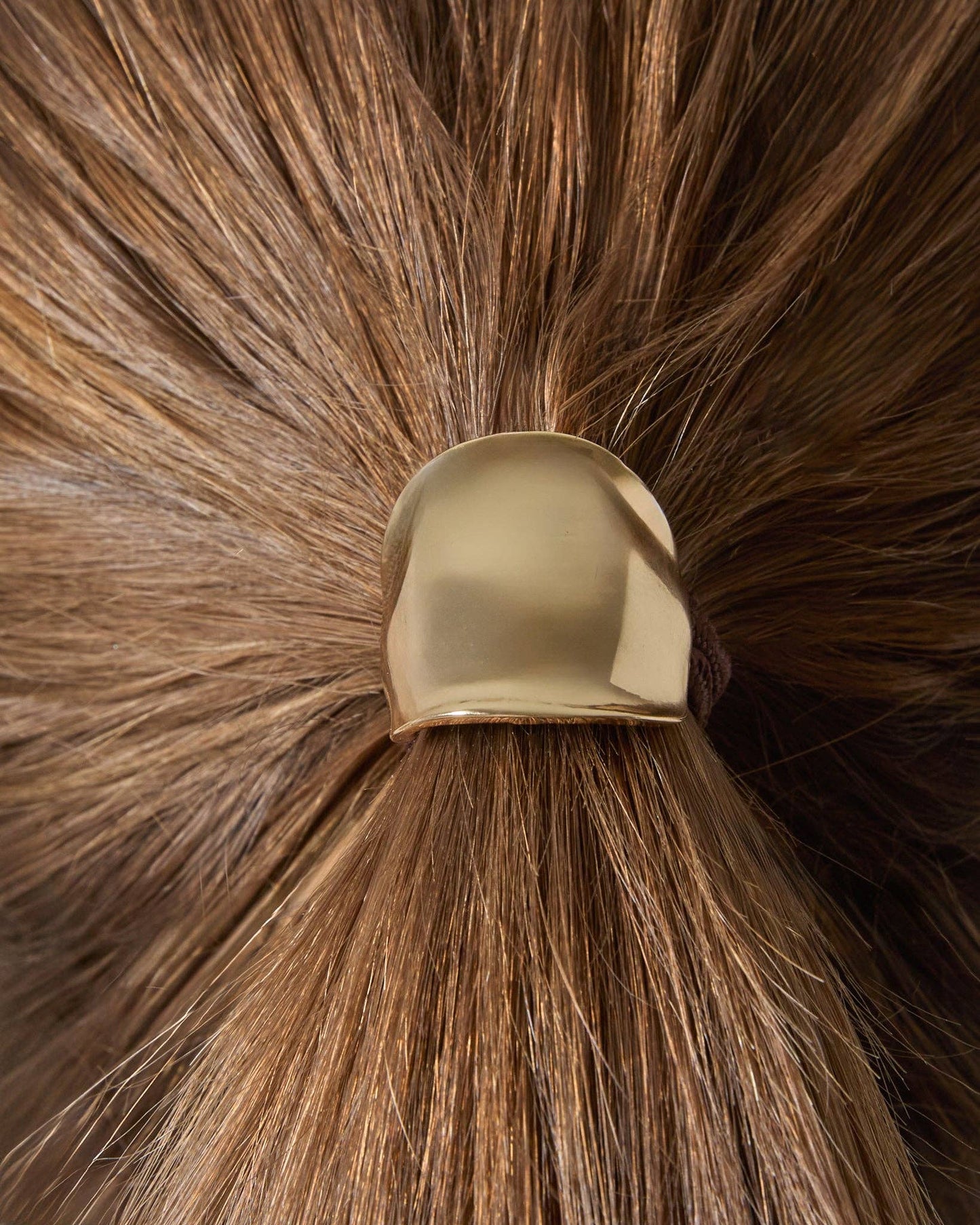 Preston Ponytail Pin Duo