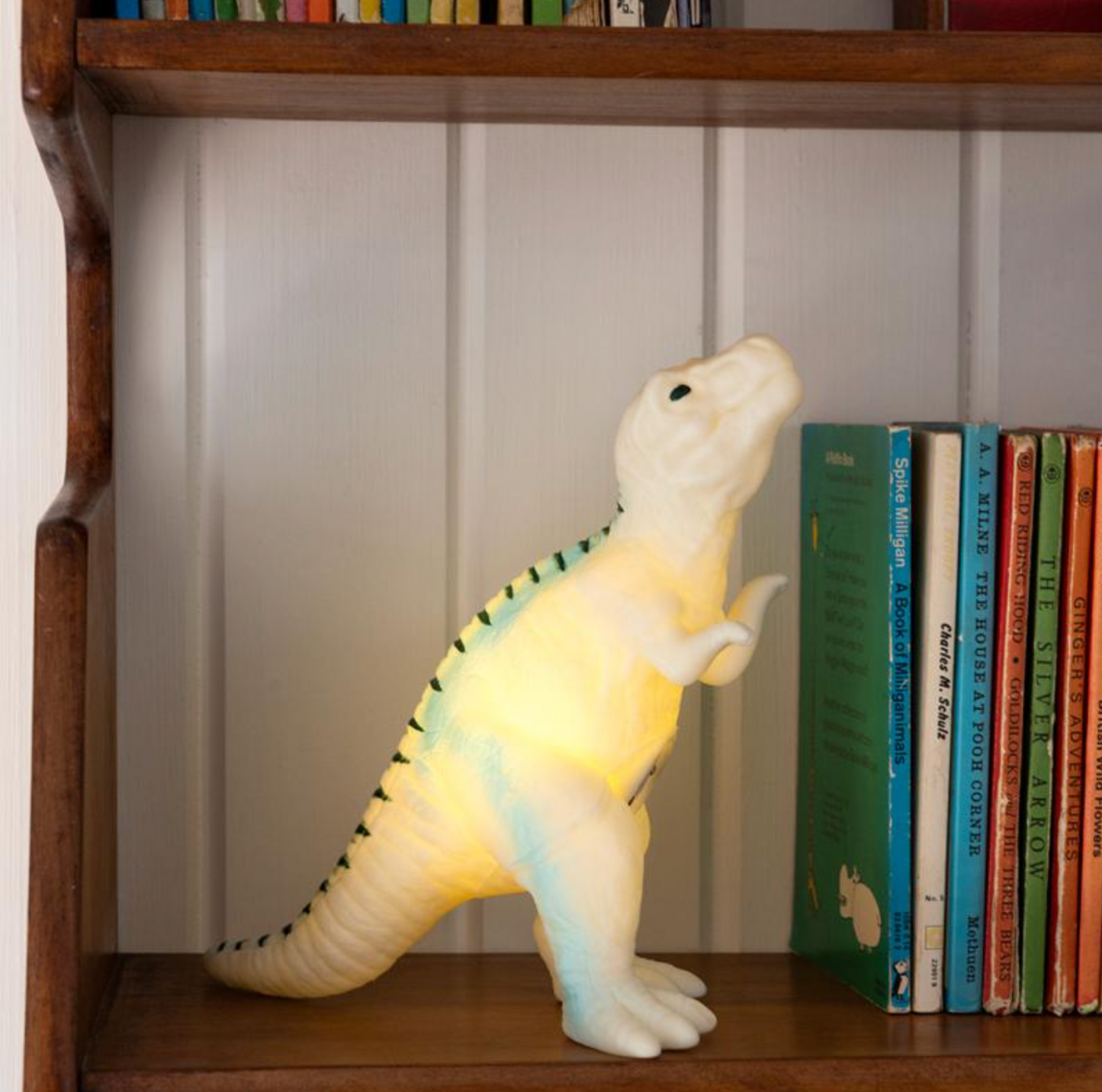 Dinosaur Night Light