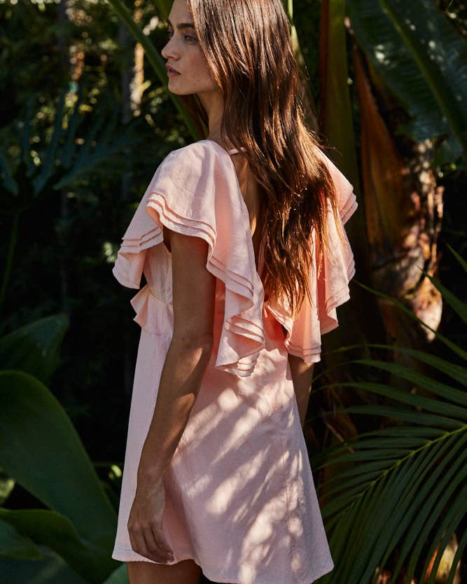 Cotton Ruffled Collar Mini Dress