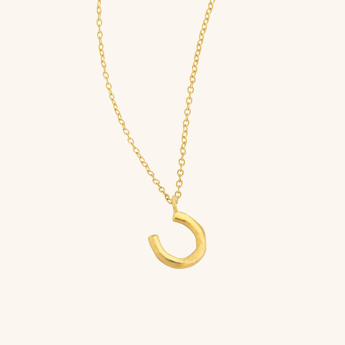 Horseshoe Necklace