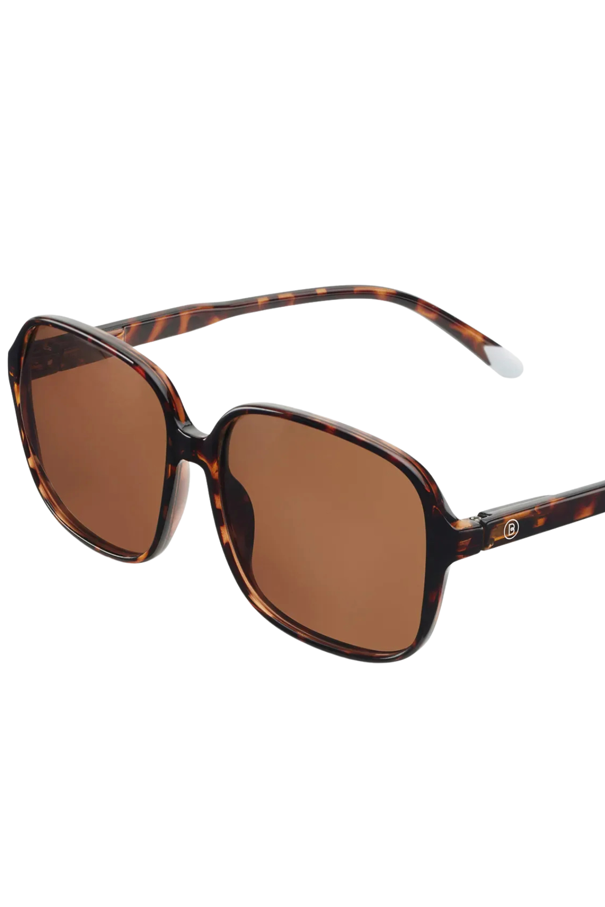 Pascal Tortoise Glossy Sunglasses