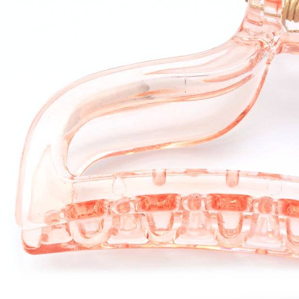 Coloured Transparent Claw Clip