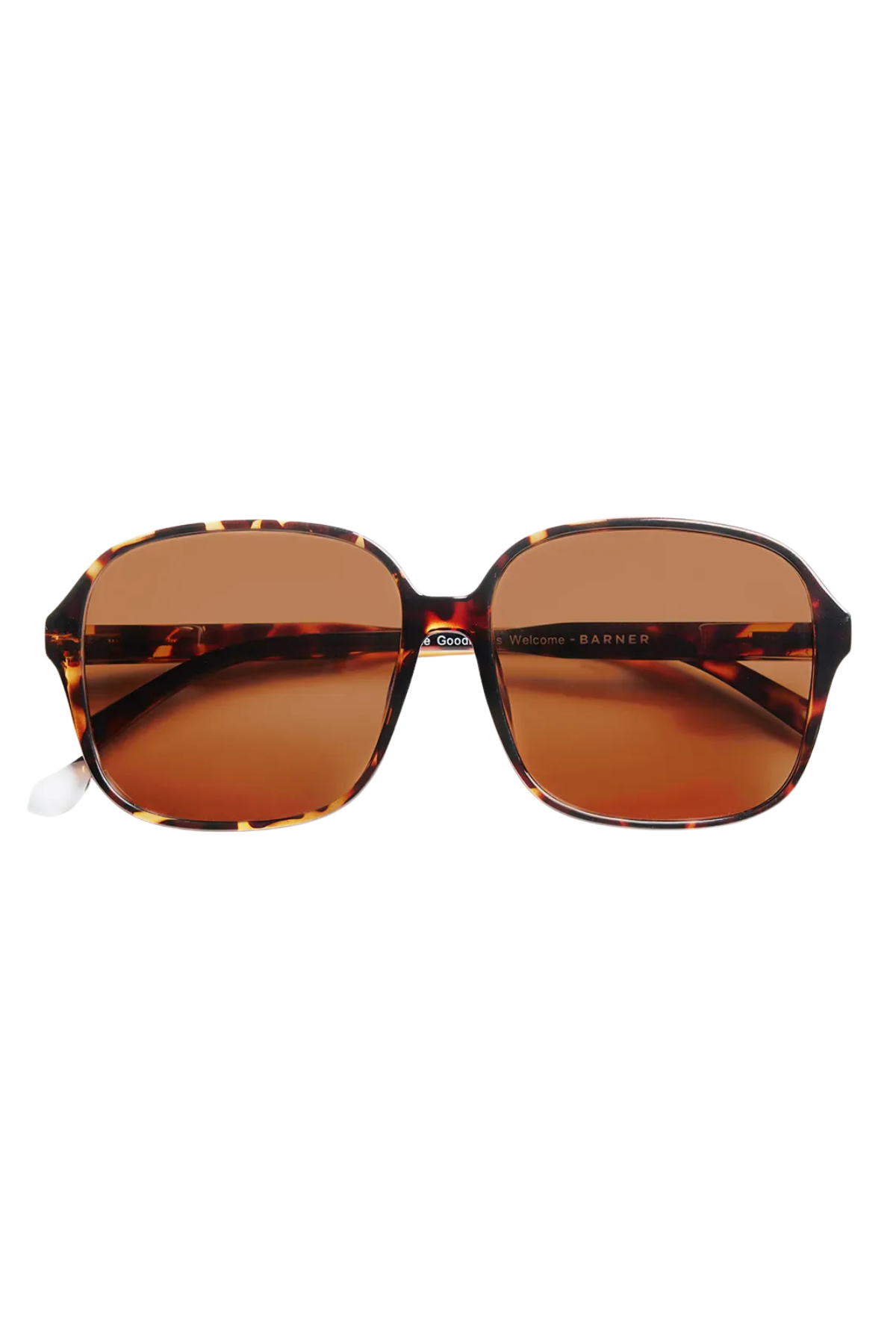 Pascal Tortoise Glossy Sunglasses