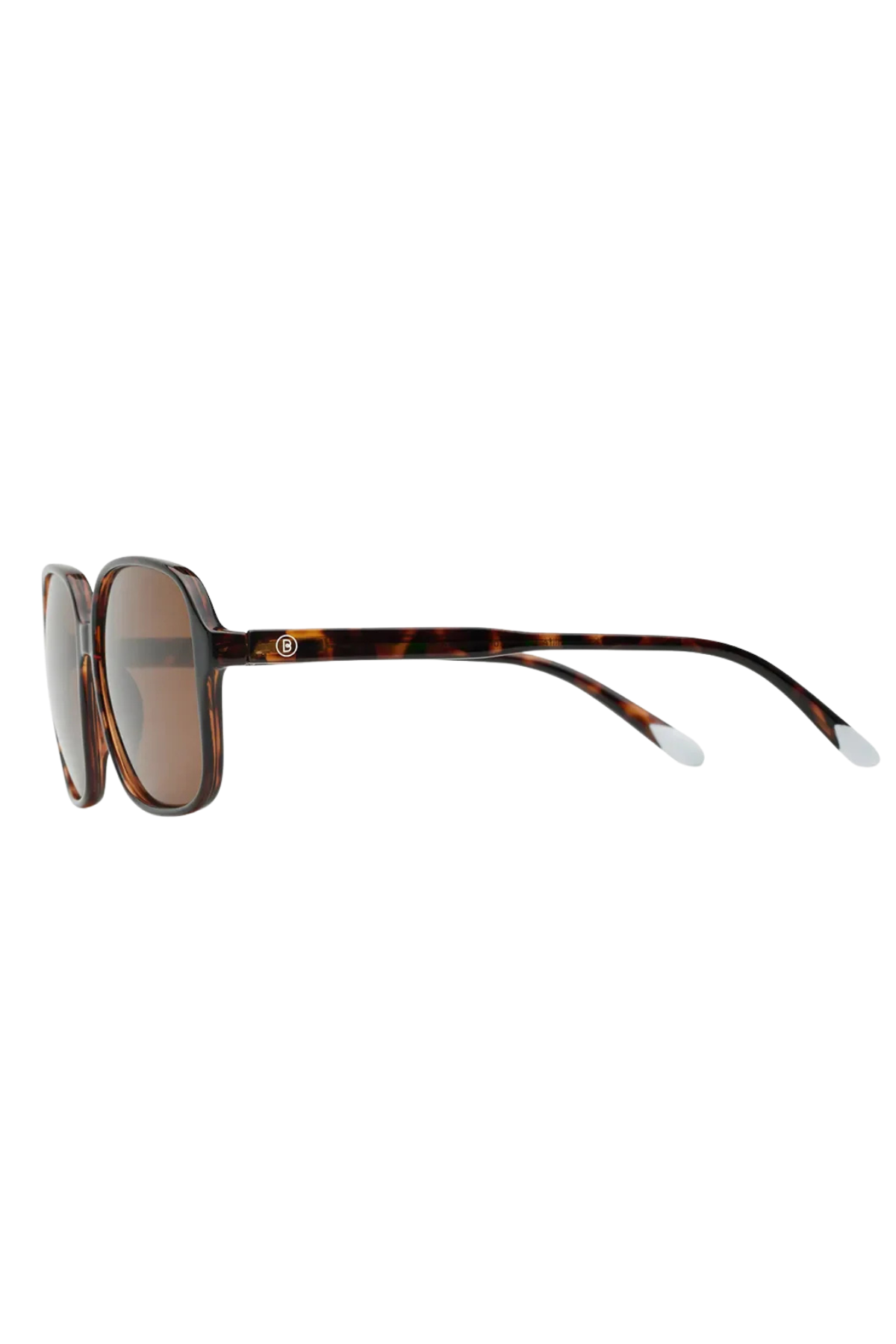 Pascal Tortoise Glossy Sunglasses