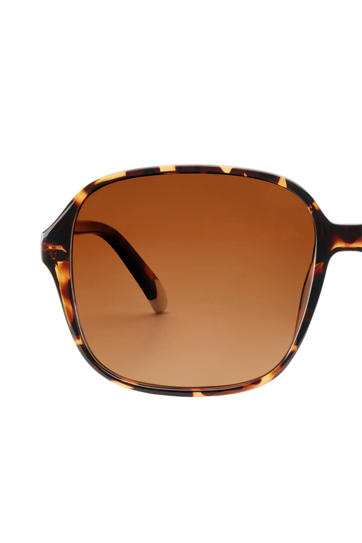 Pascal Tortoise Glossy Sunglasses