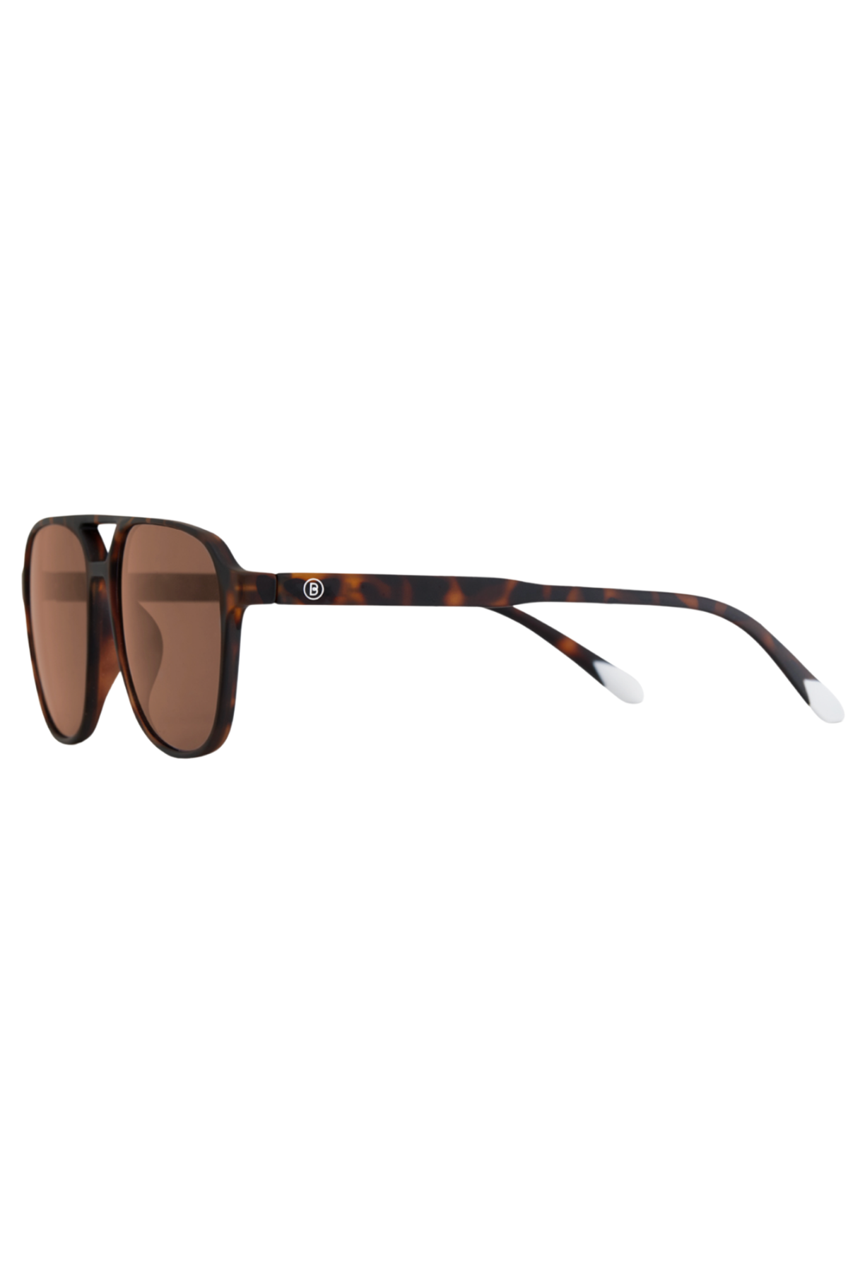 Brad Tortoise Sunglasses