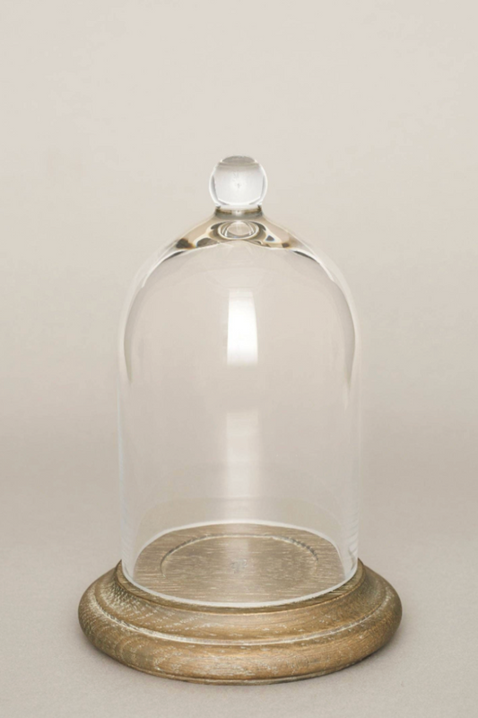 Small Glass Cloche