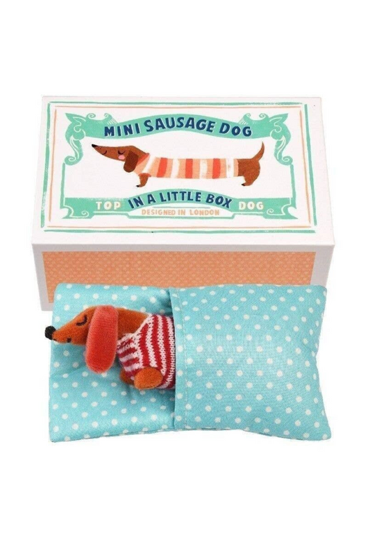 Mini Sausage Dog In A Little Box