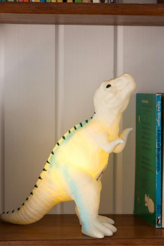 Dinosaur Night Light