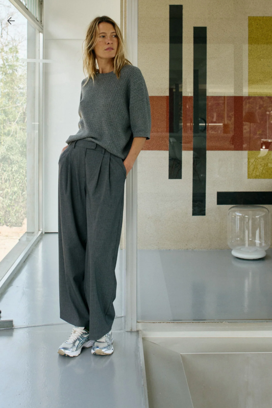 Pleated Dress Pants